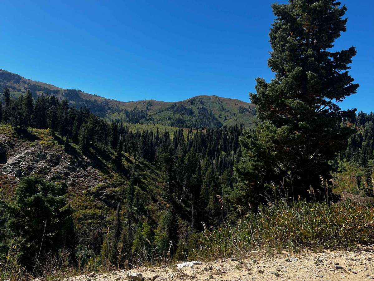 Francis Peak Road (FS 009) photo 3