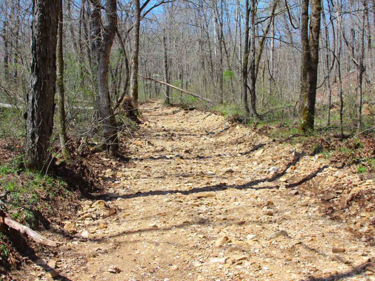 River Ridge Road photo 4