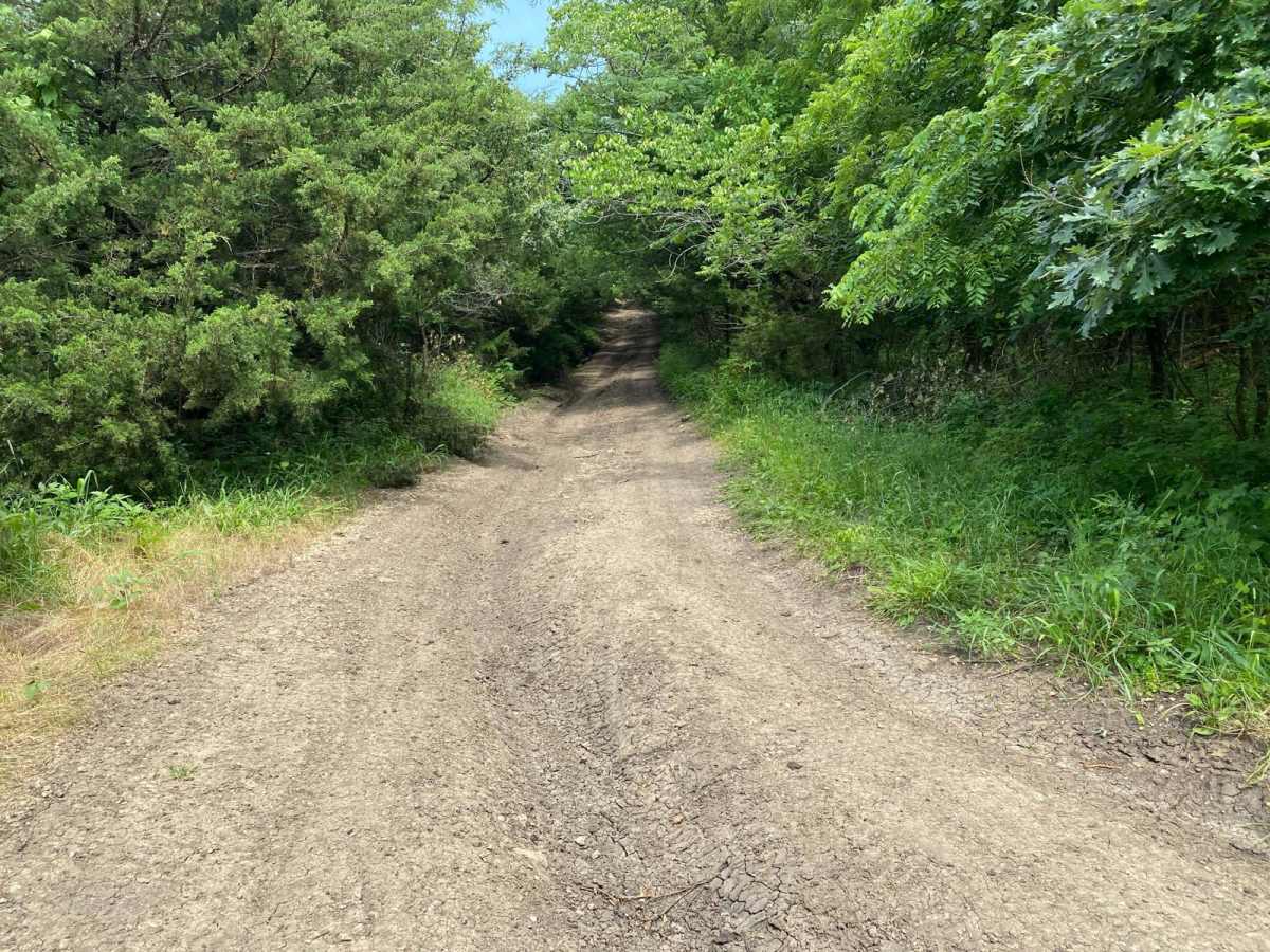 Takanoah's Hill trail photo