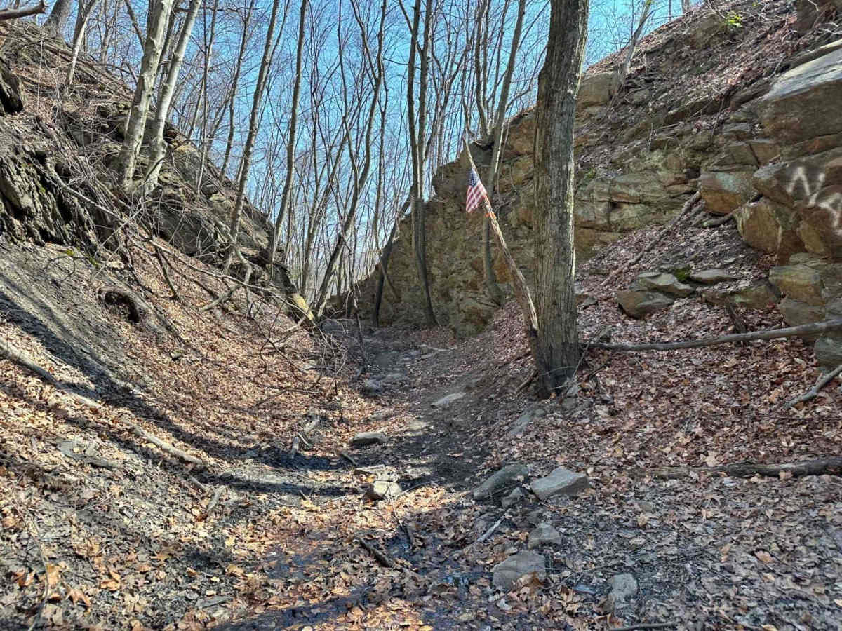 Ashland 7 photo 5