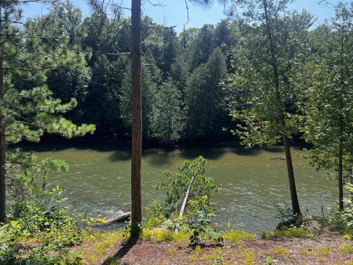 Riverbend Lookout Trail photo 6