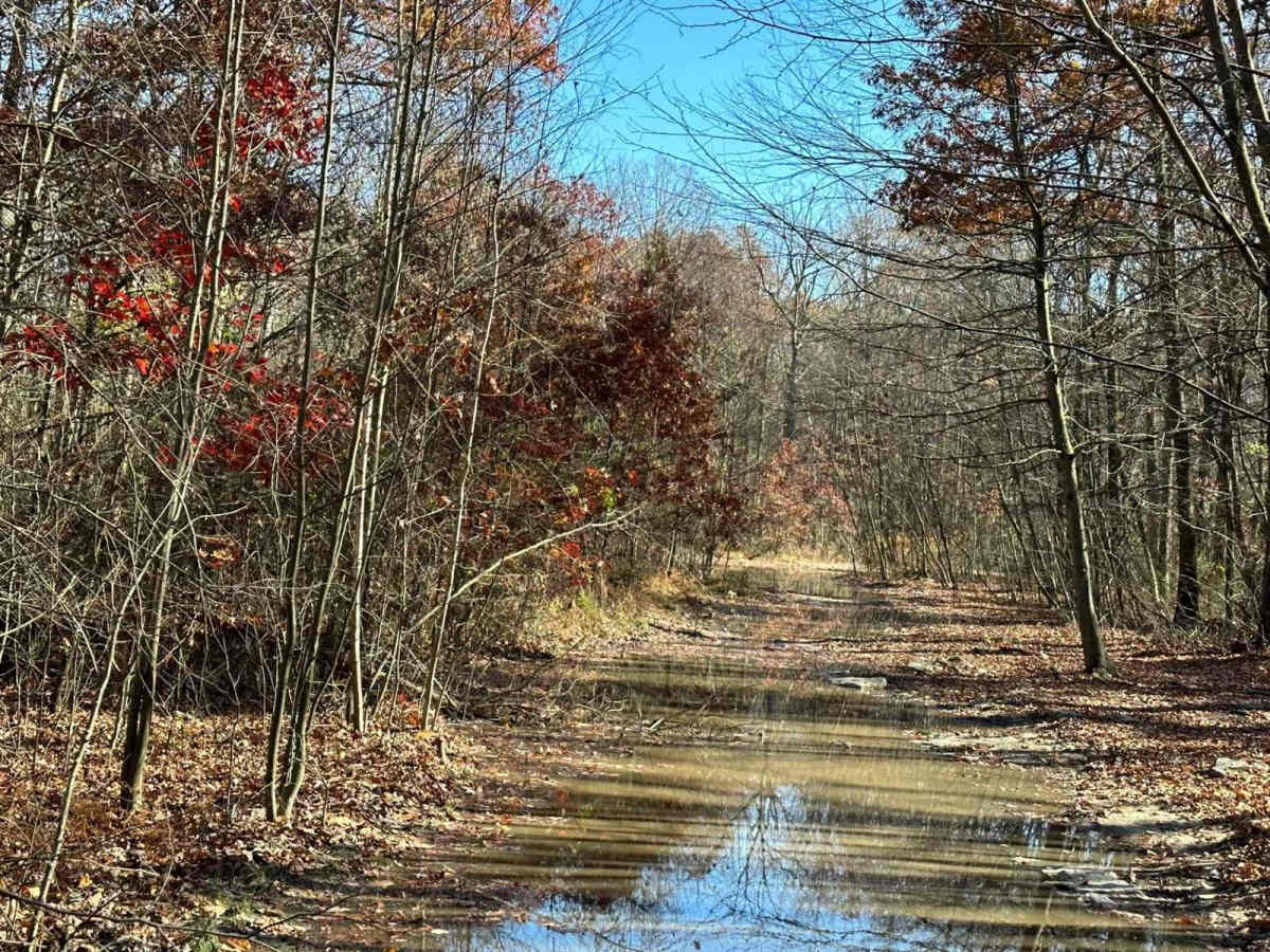 8 trail photo