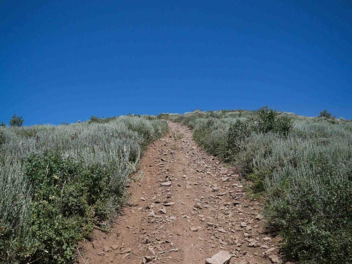 Sulphur Peak #5237  trail photo