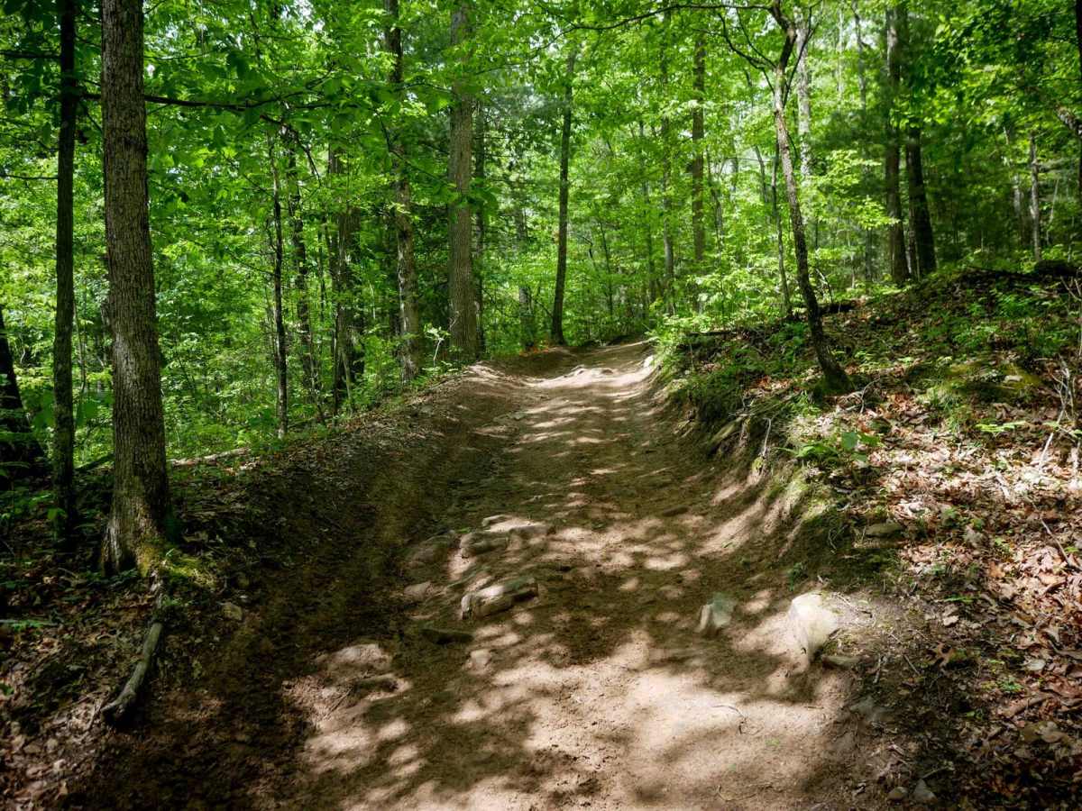 Trail 5 photo 5
