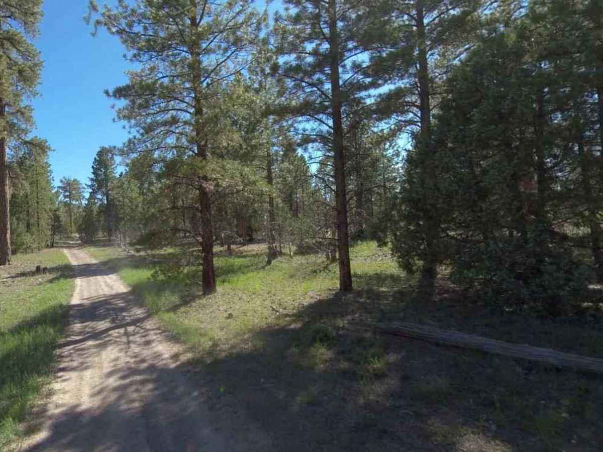 Peterson Point-NFR30697 photo 3
