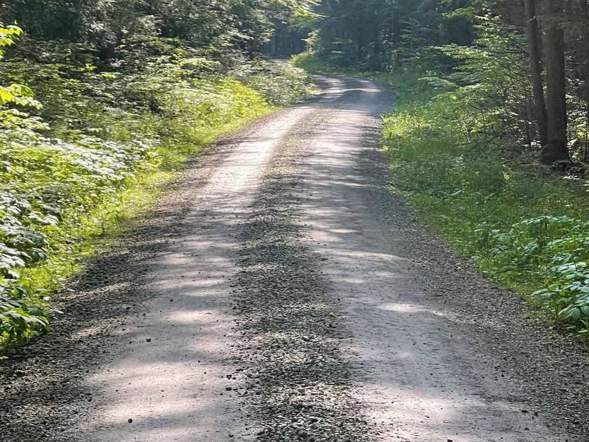 Pepper Run Road East photo 5