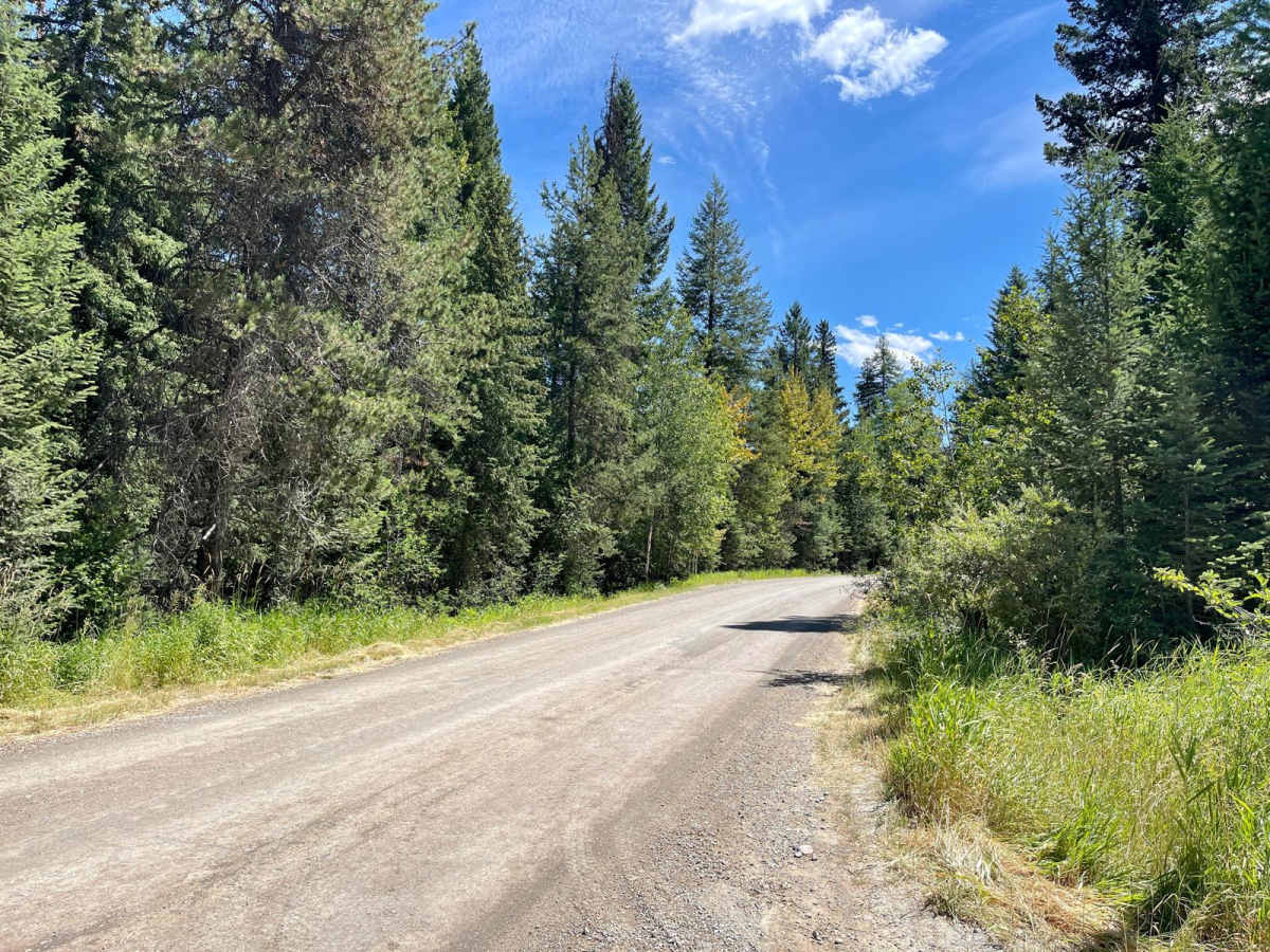 Truman Creek Road photo 3