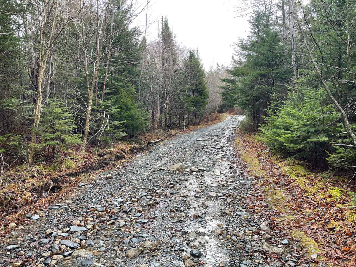 Pockwock Falls Trail trail photo