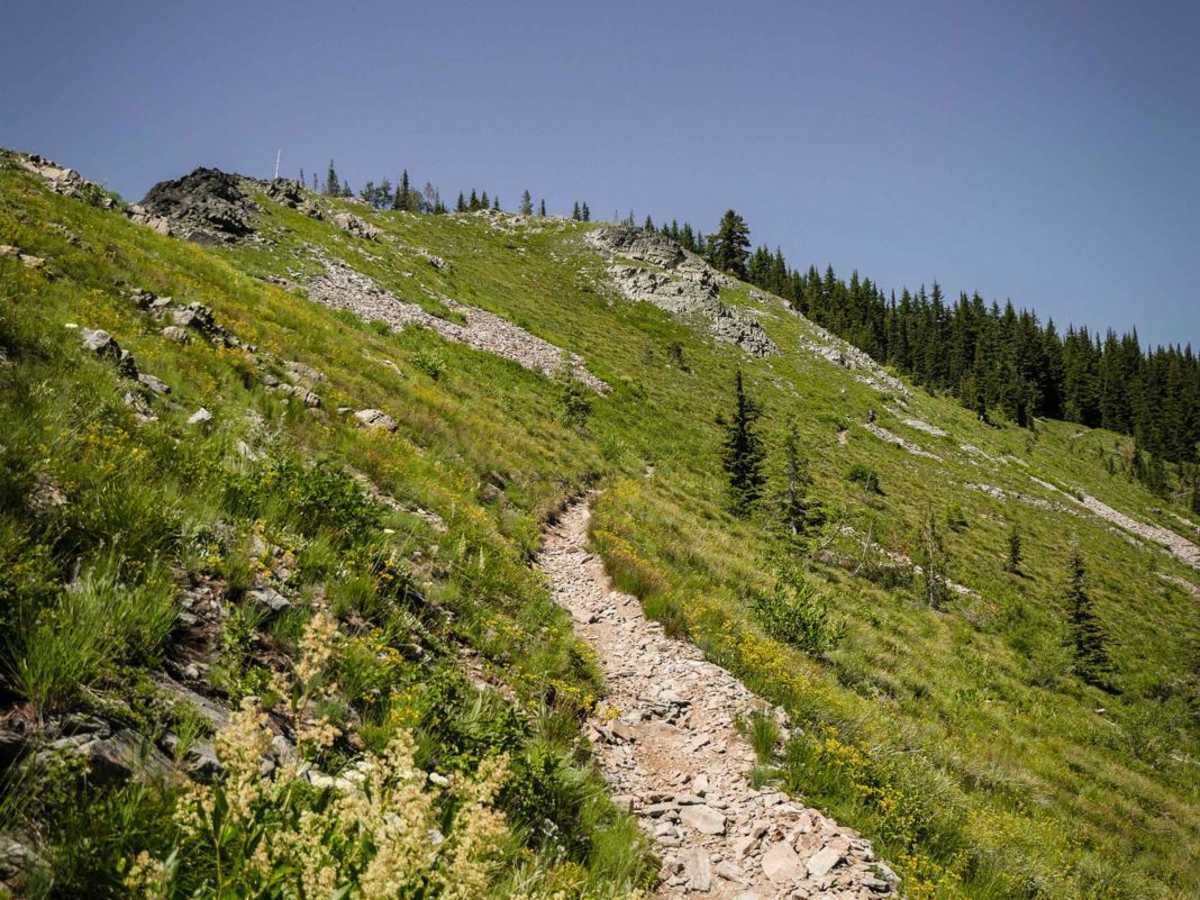 Cedar Mountain photo 2