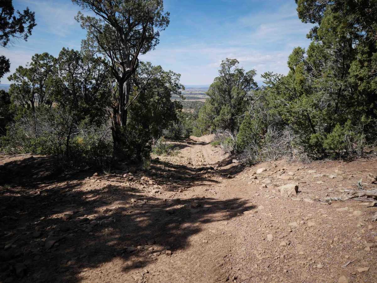 Reservoir Canyon photo 3