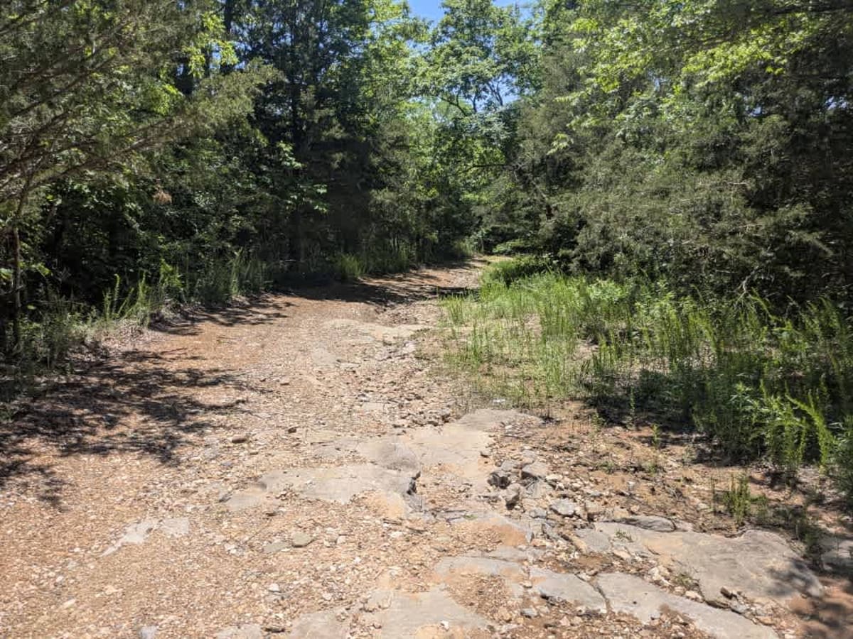South Burnt Cabin Road - Northern Portion trail photo