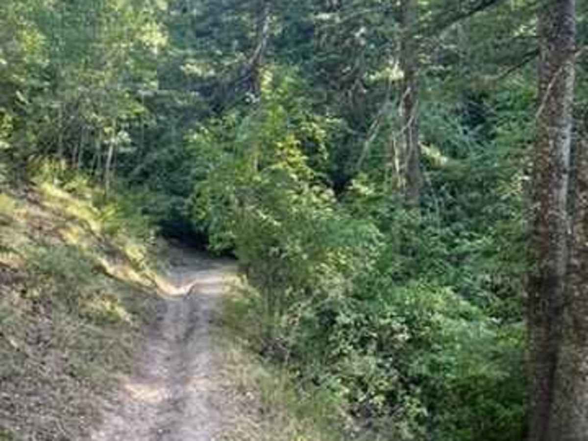 Crestline trail - Bell Marsh Creek photo 4