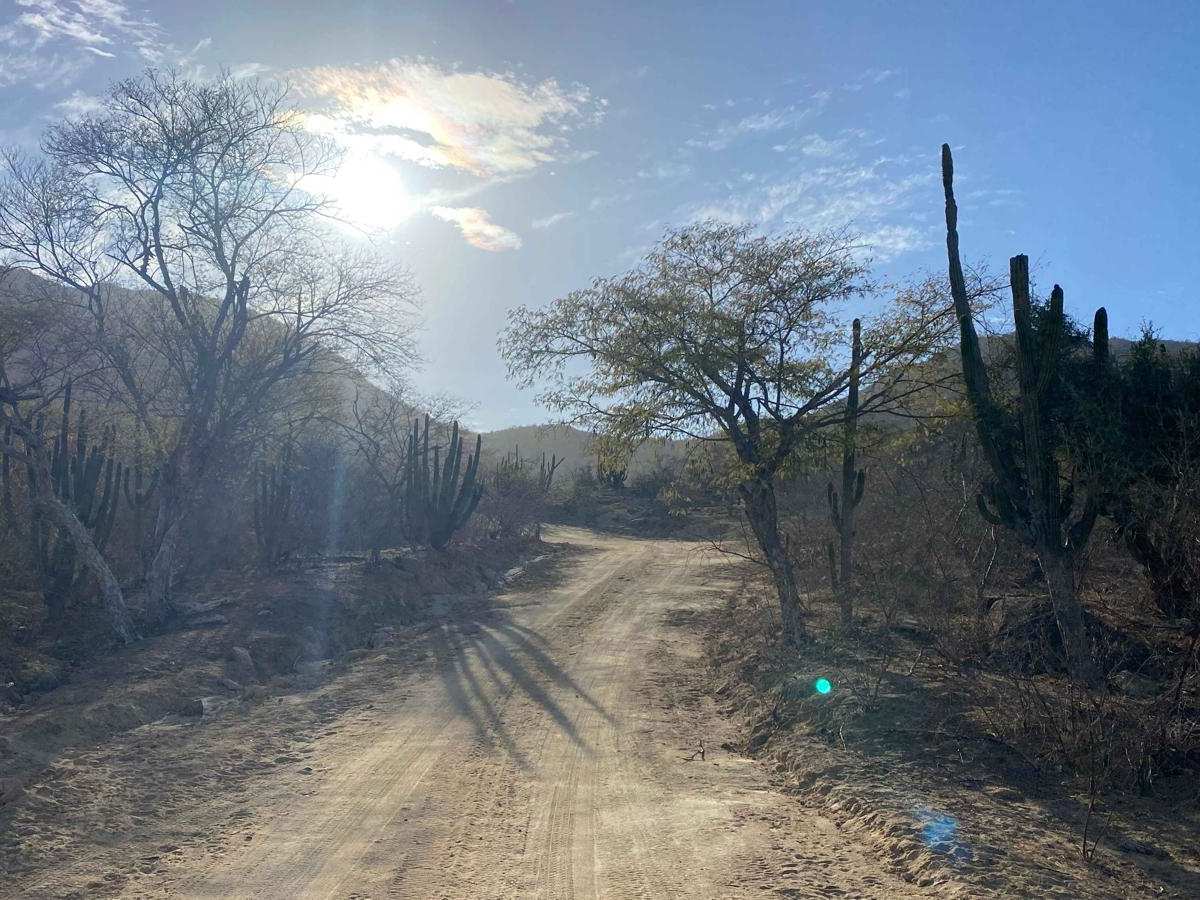 El Paso photo 4