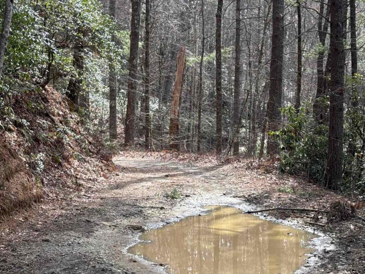 Darnell Creek - FR 150 photo 4