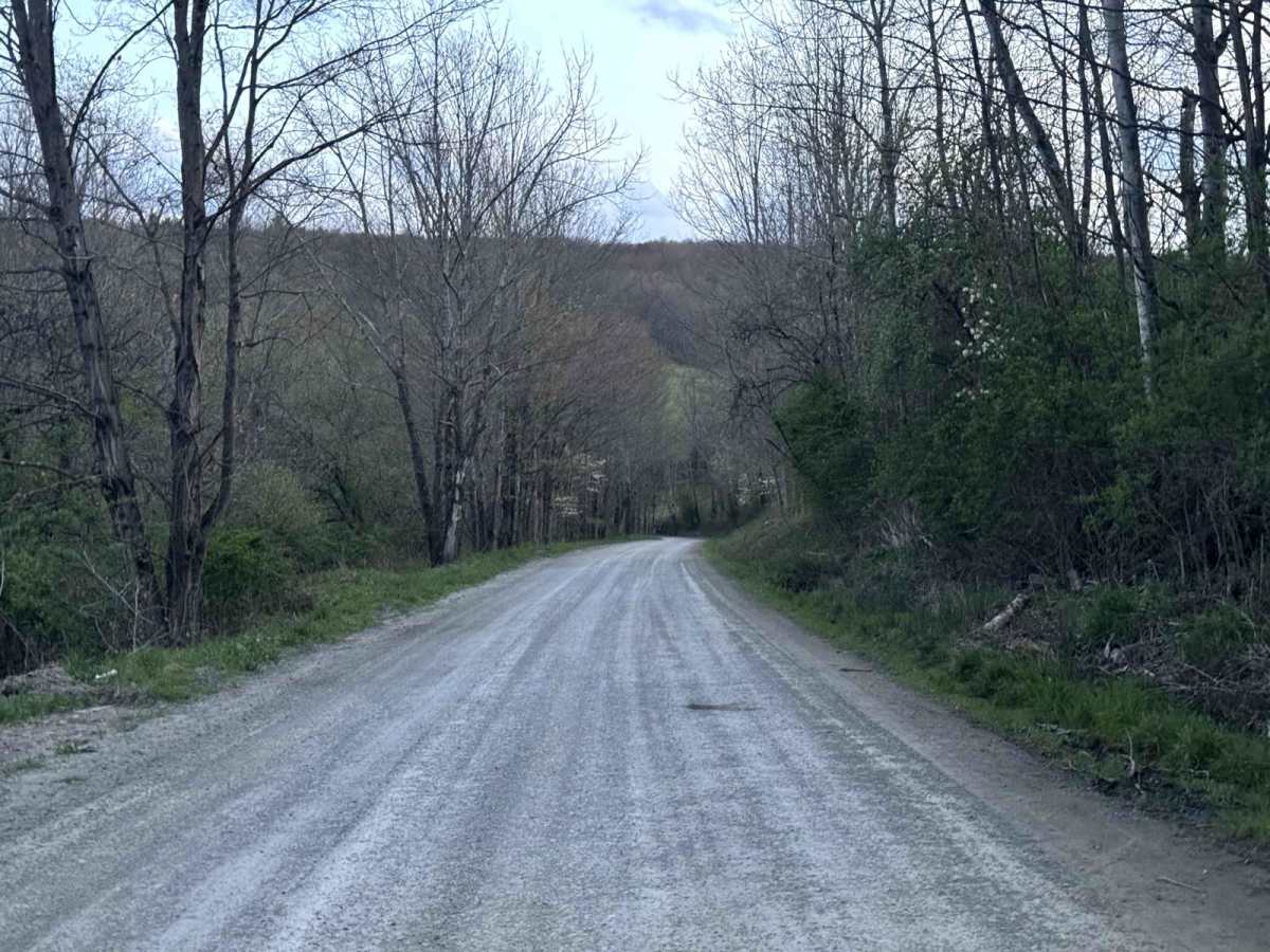 Tripp Lake Road photo 2