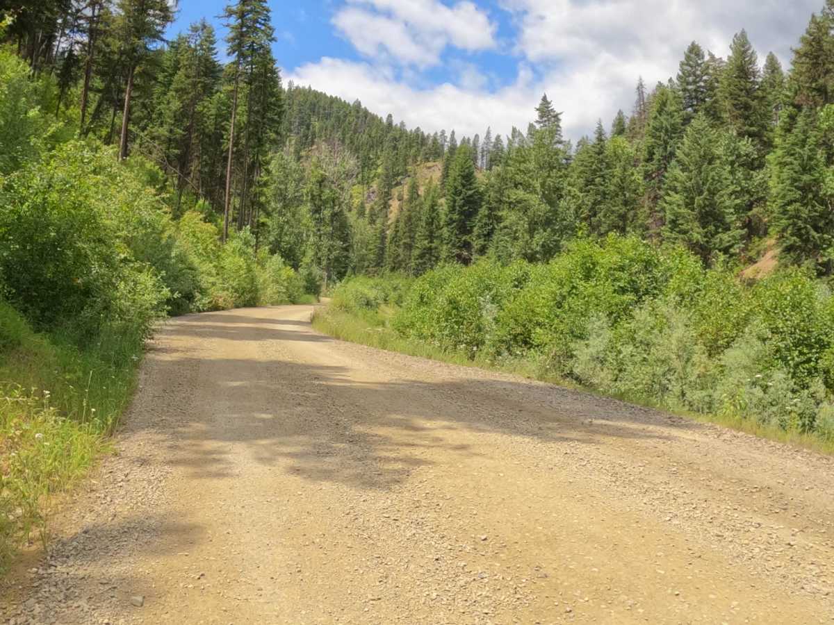 Cedar Creek Road - Oregon Lakes photo 5