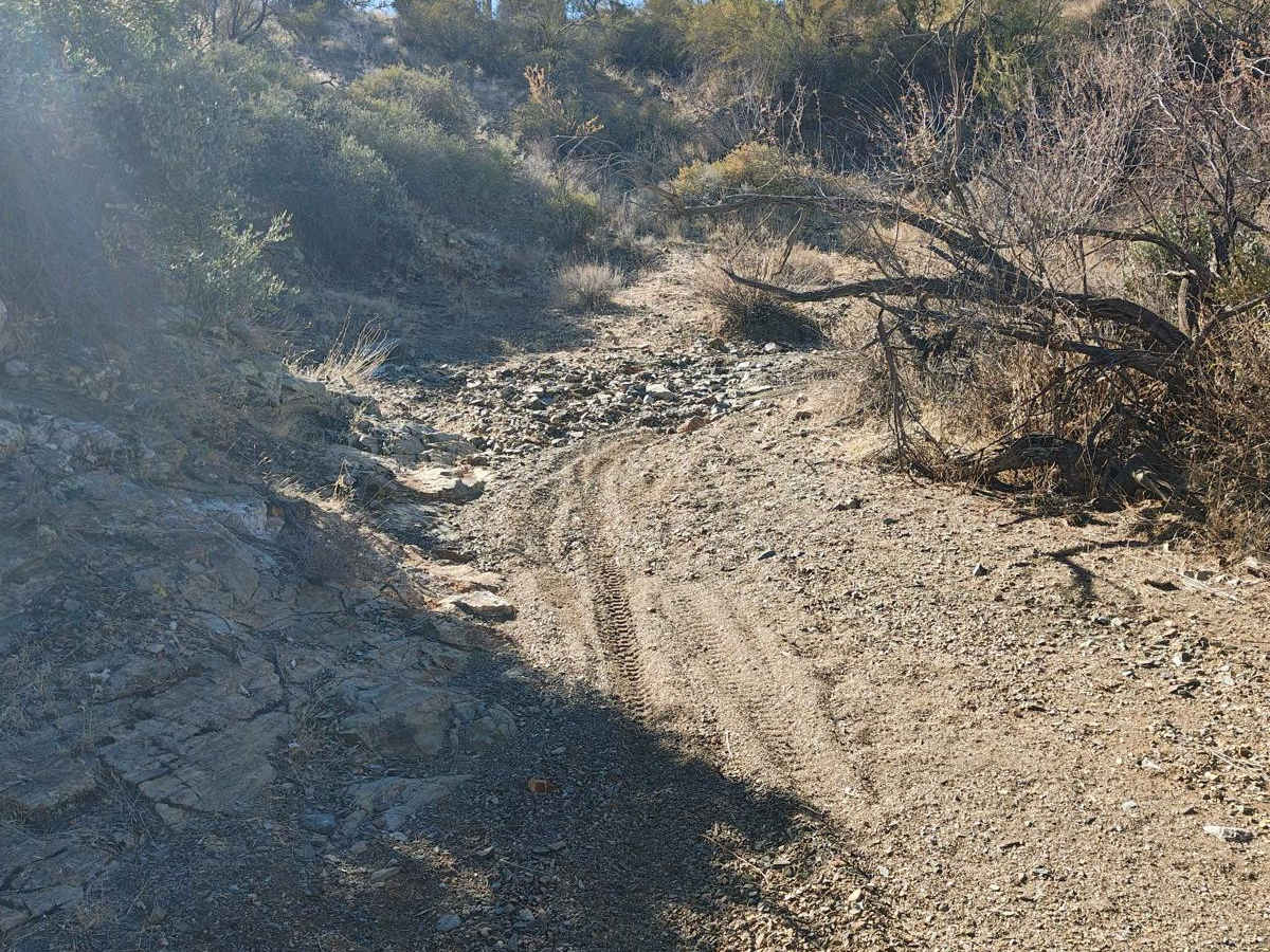 Wash to Sky - Single Track photo 2
