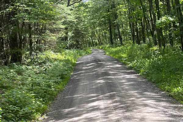Cranberry Road
