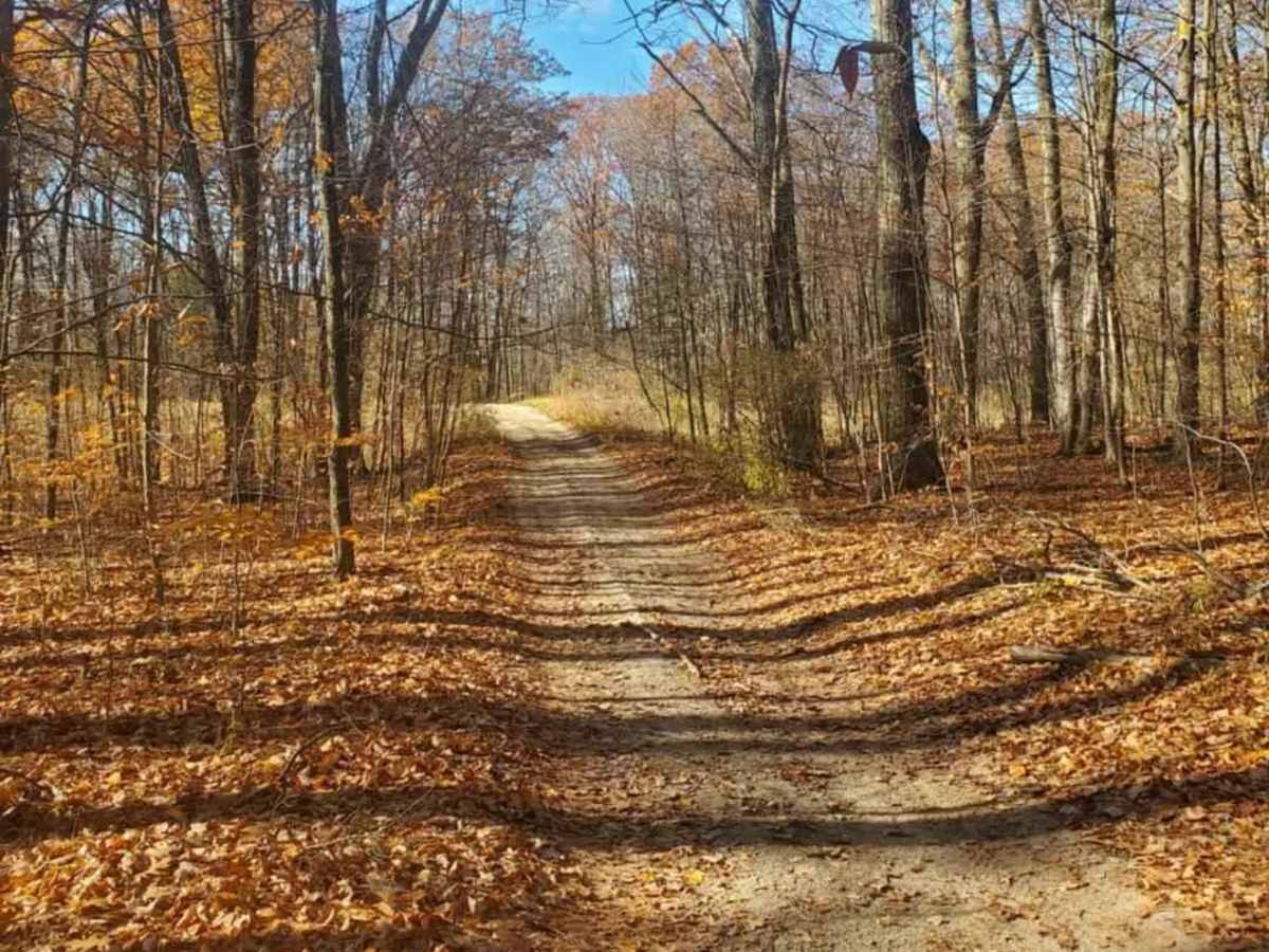 Trail 7325 photo 2