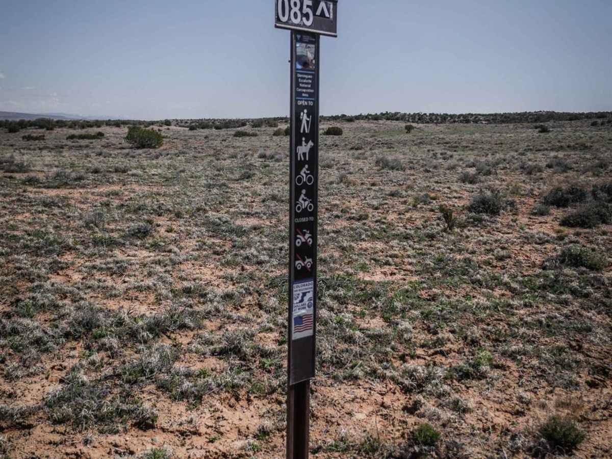 BLM Route 85 photo 5