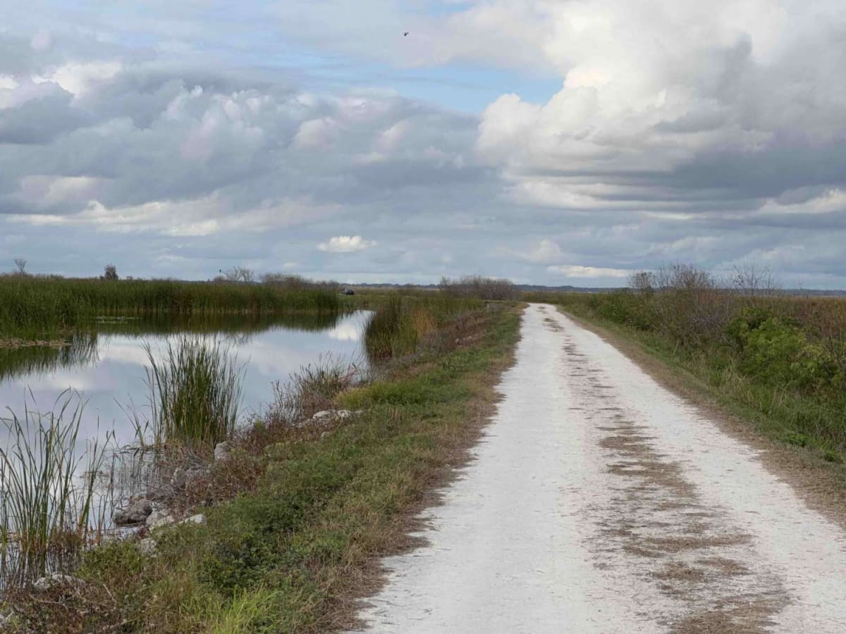 Lake Apopka Wildlife Drive photo 4