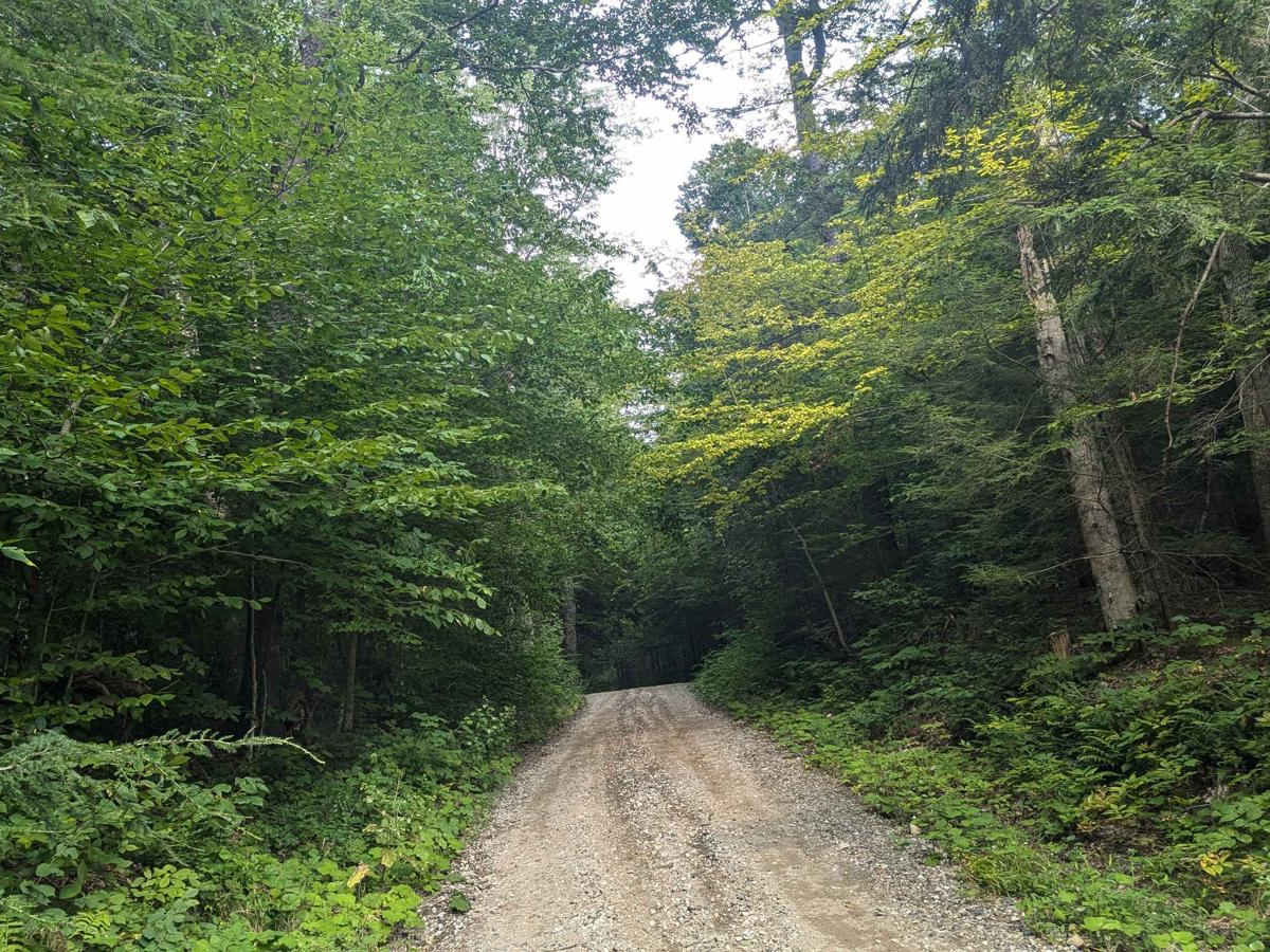 Hallockville Road photo 6