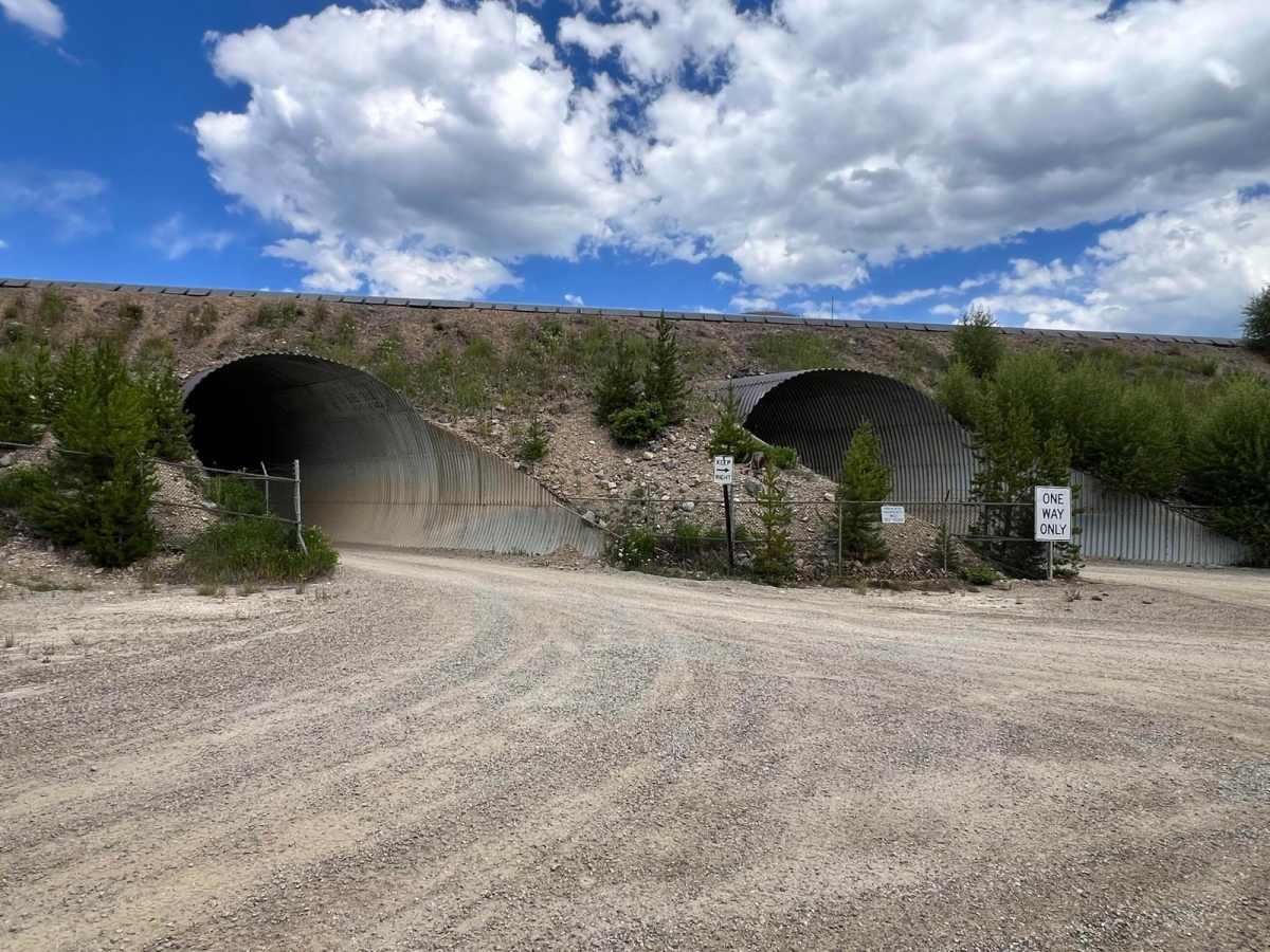 Williams Fork Road - FS 138 photo 6