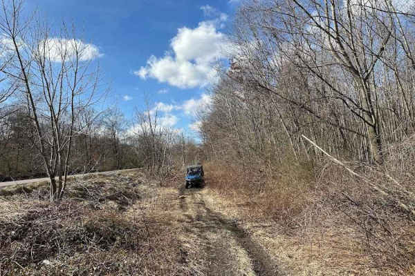 Locust Gap 80