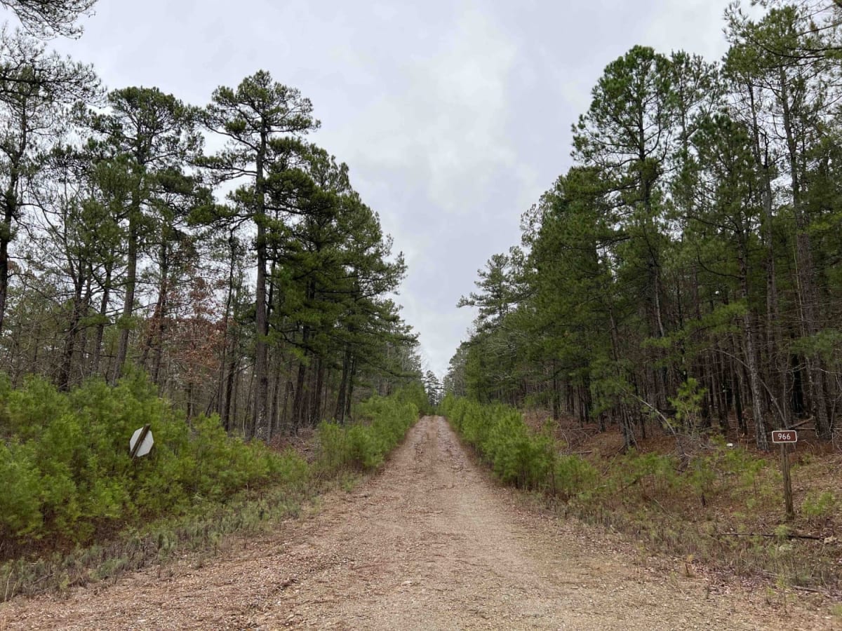 Alum Experiment Road 962 photo 2
