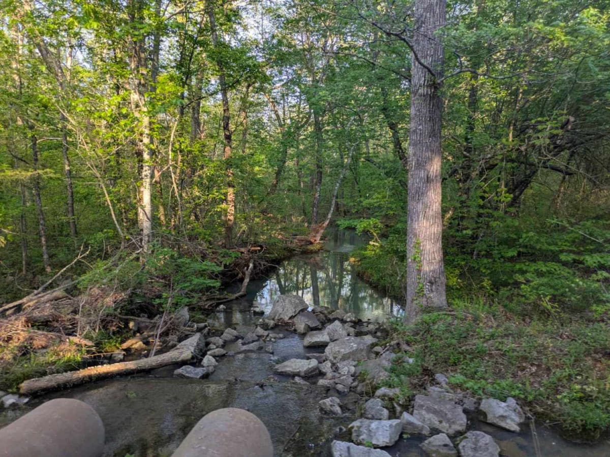 Denton Creek Road photo 6