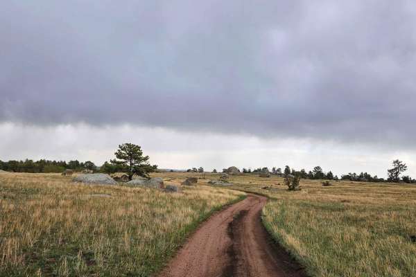 Buford Trail