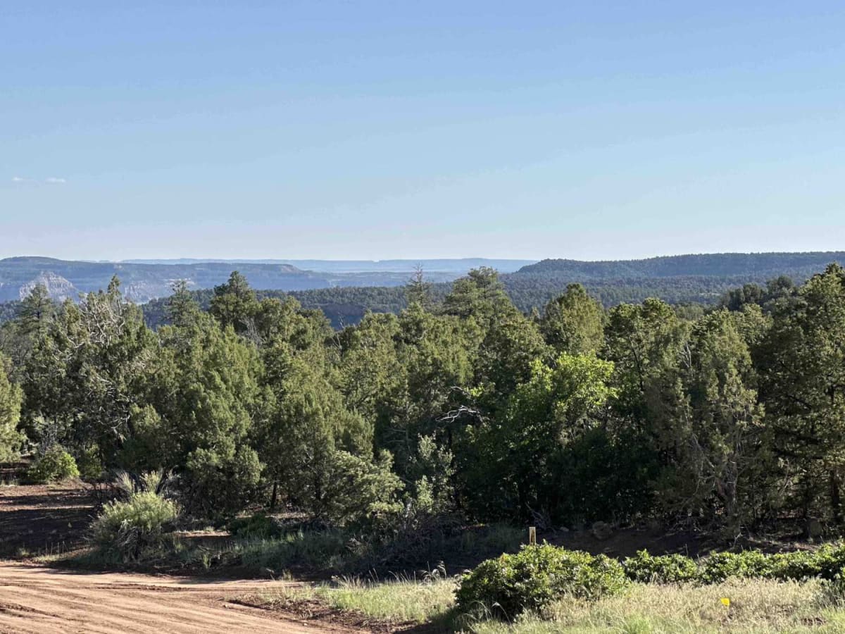Munoz Creek/NFS 357 photo 6