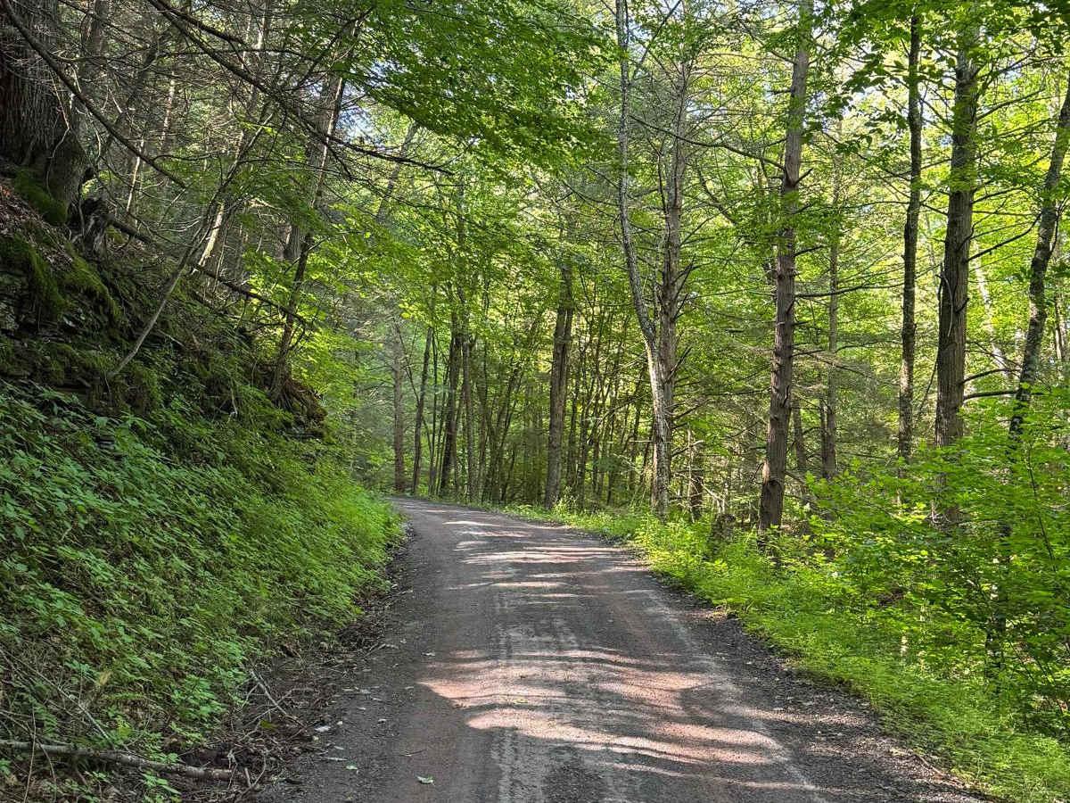Mary Smith Hill Road photo 3