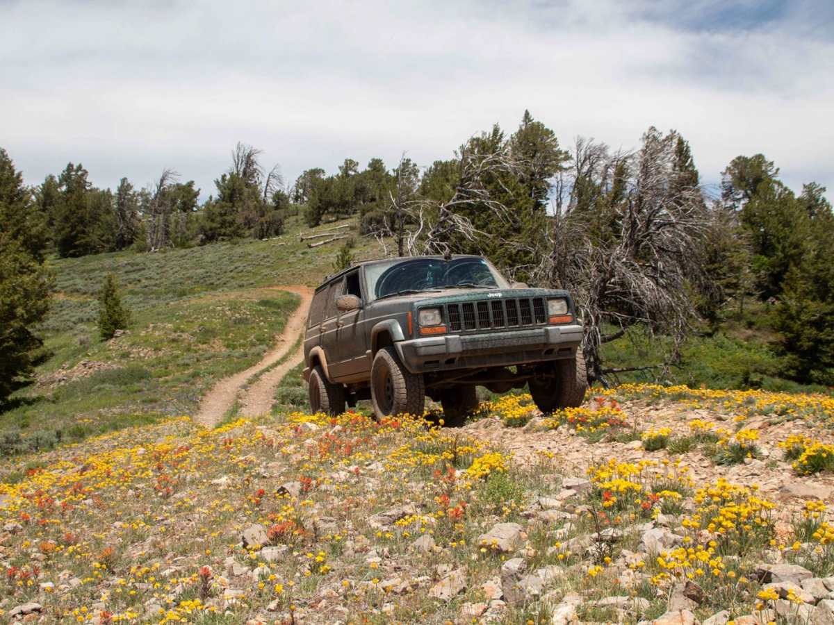 Lambs Canyon 4x4 photo 3