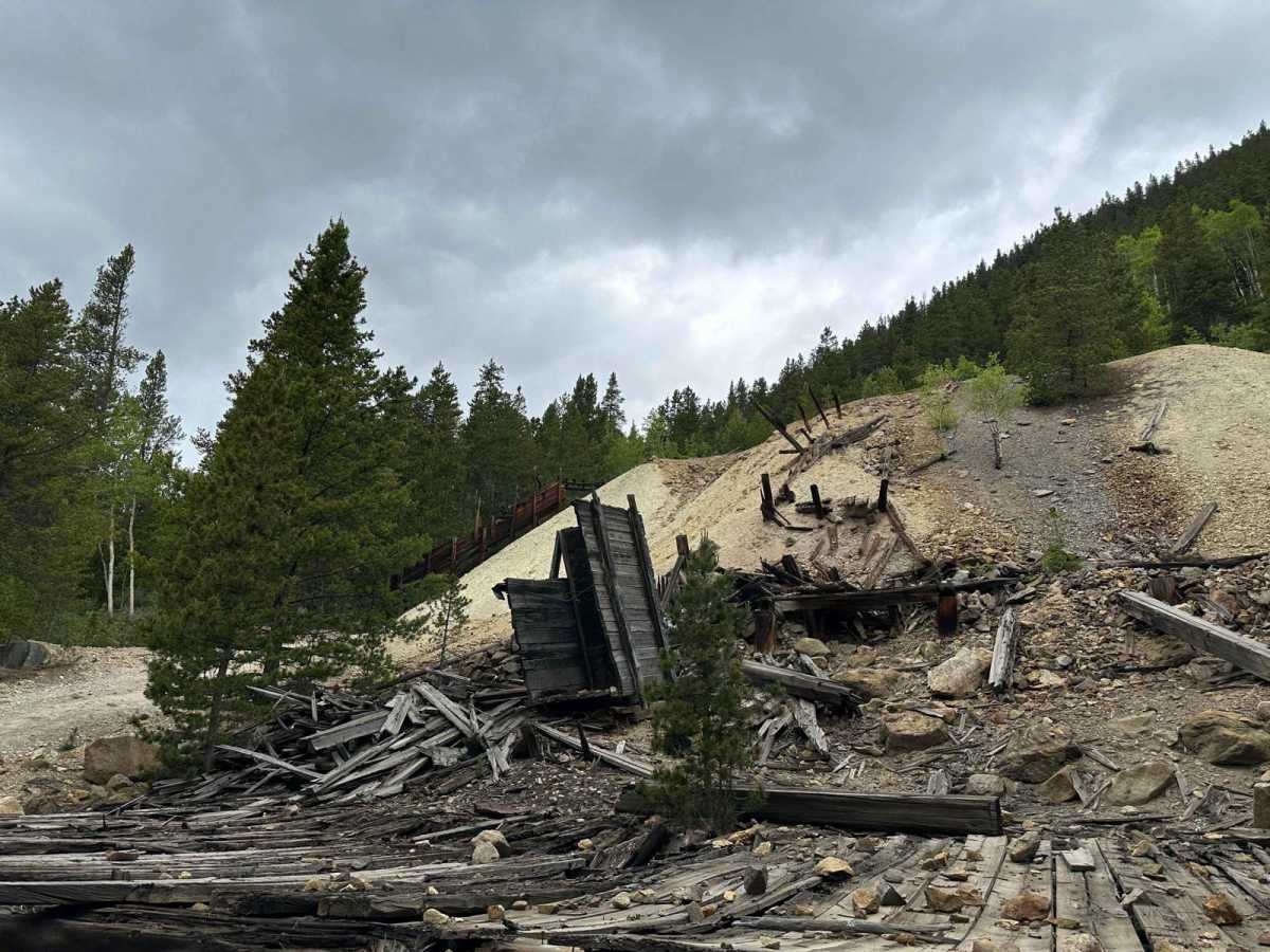 Bard Creek Road photo 4