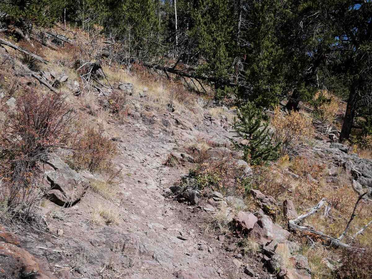 La Garita Creek Single Track photo 3