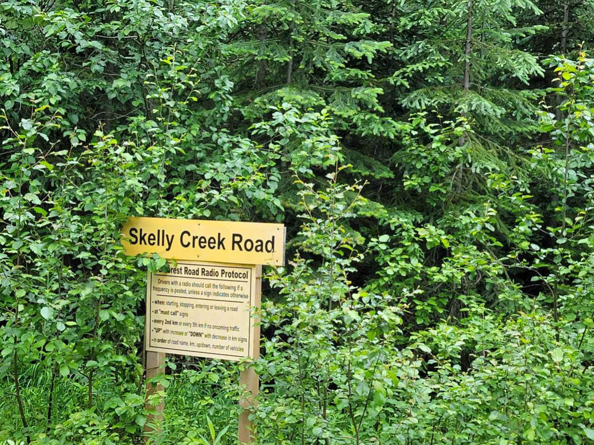 Skelly Creek FSR photo 3