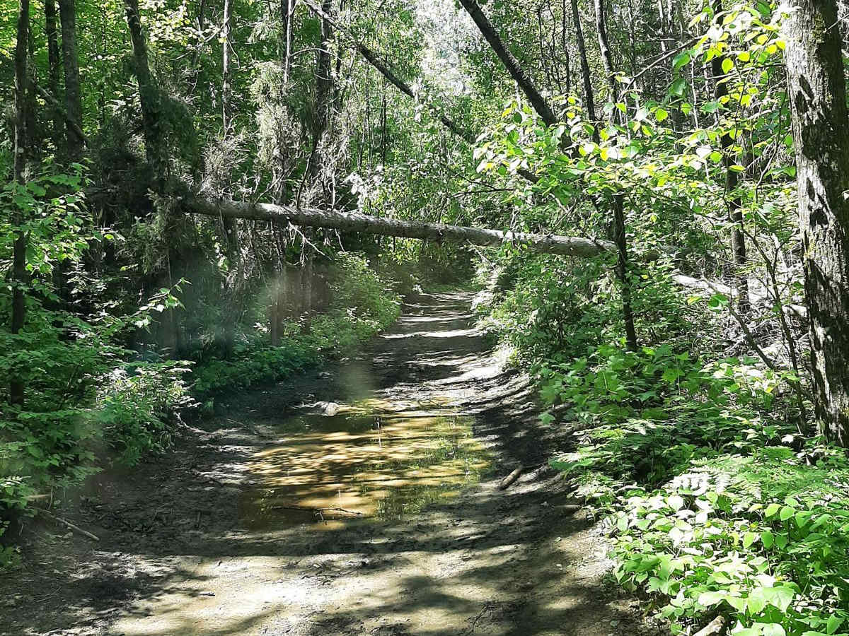 Gooderham photo 3