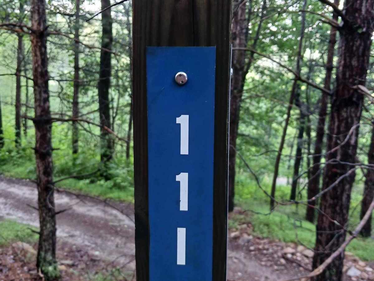 Trail 11I - Rock Run Recreation Area trail photo