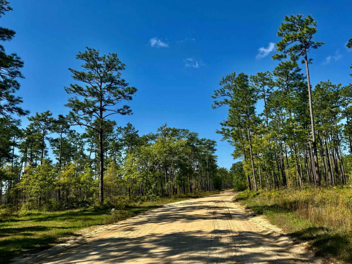 FS-123A trail photo