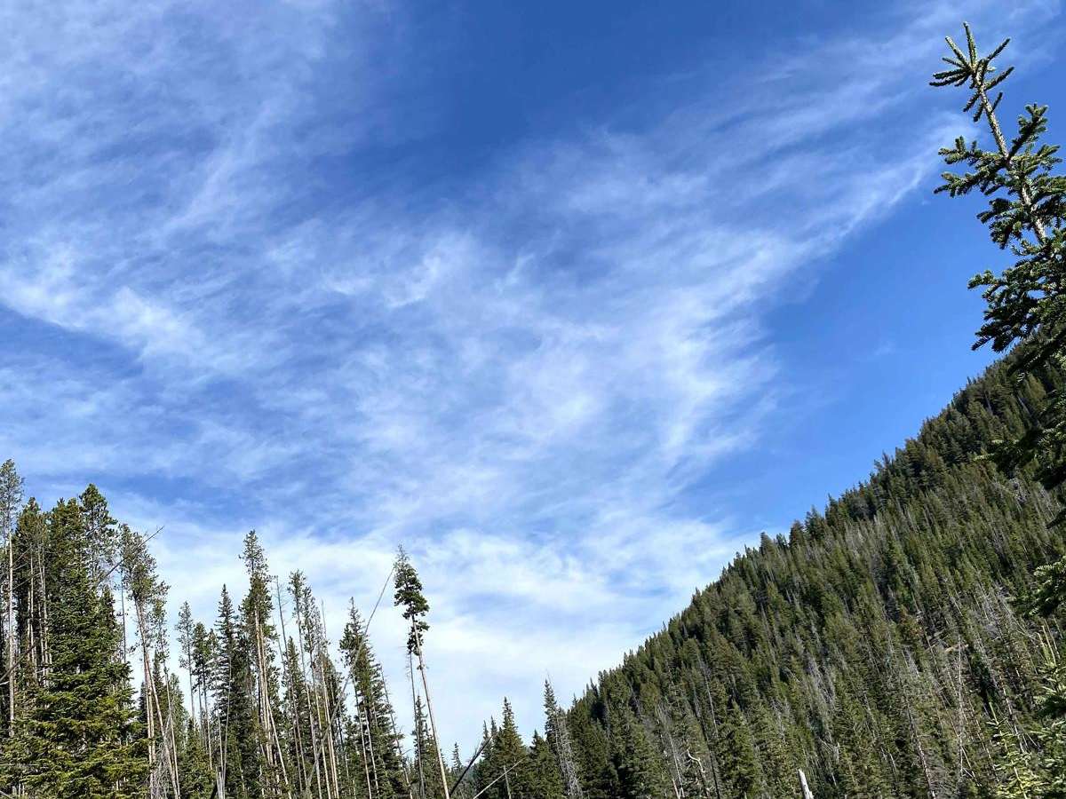 Rock Creek/Leadville photo 2