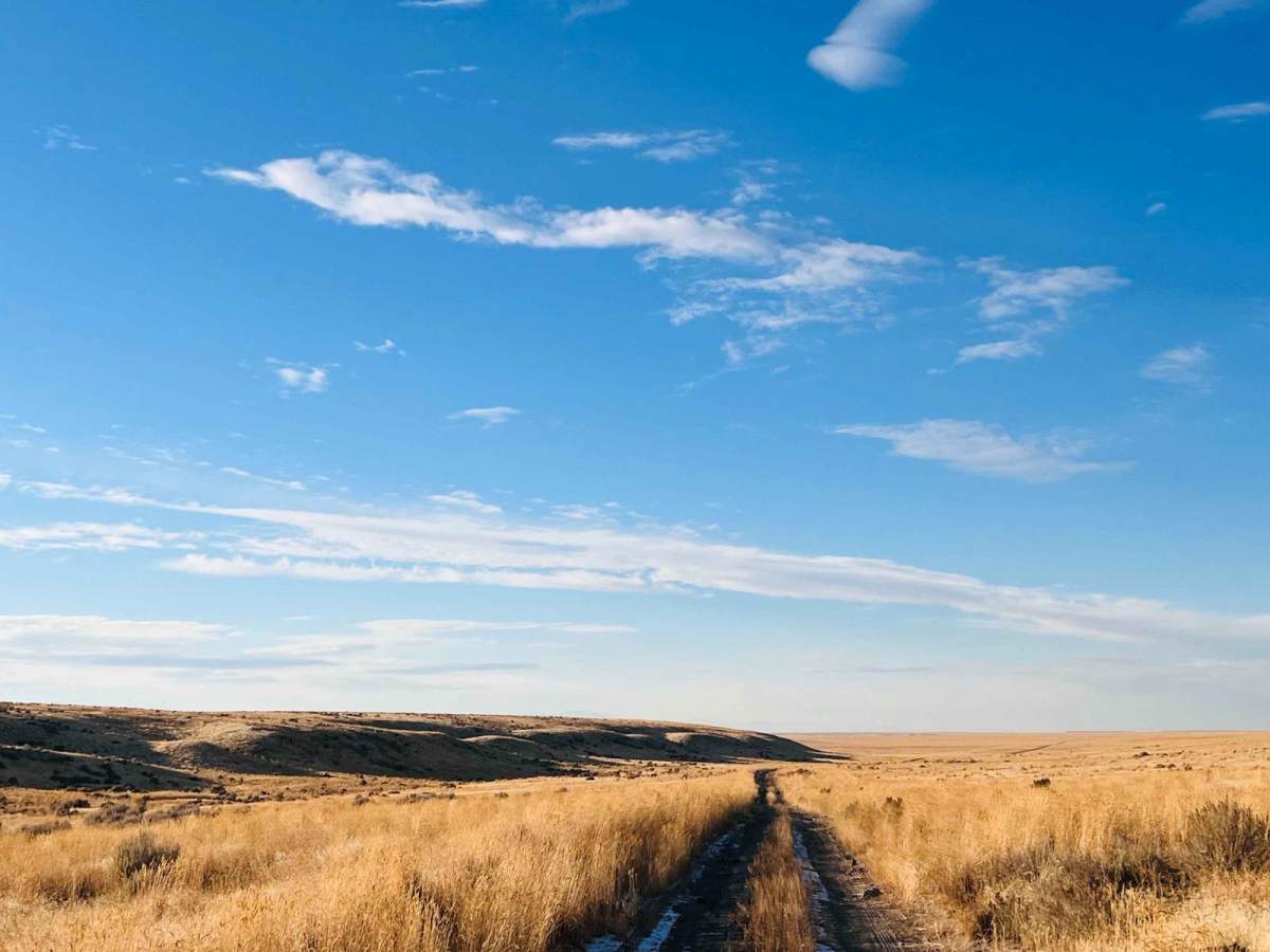 Idaho Centennial Trail photo 2