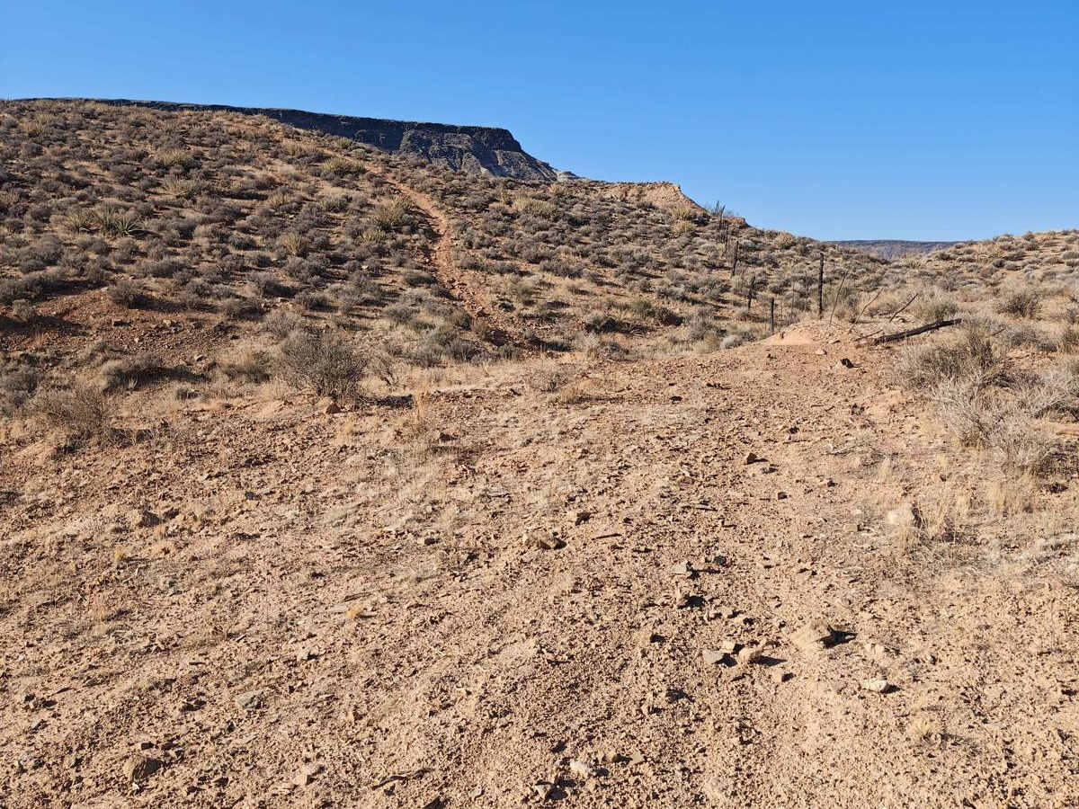 South Rim Black Rock Loop - Single Track trail photo