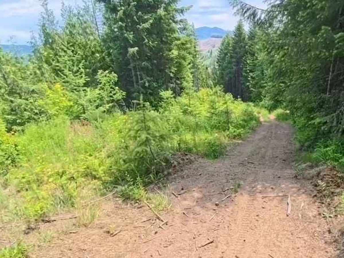 Chesley Creek Trail 19 photo 3