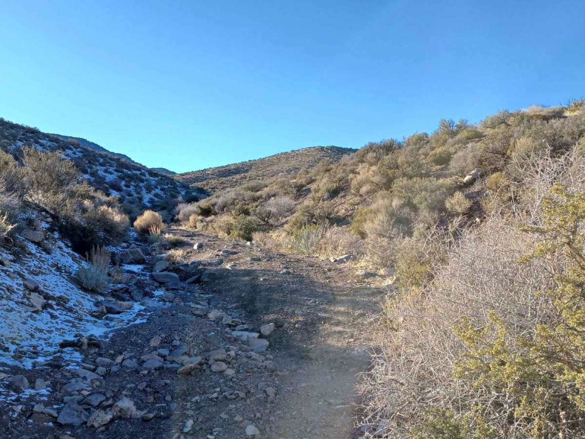 Noides Road trail photo