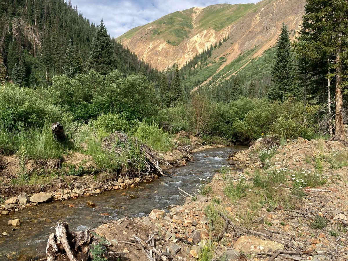 South Fork Animas Trailhead trail photo