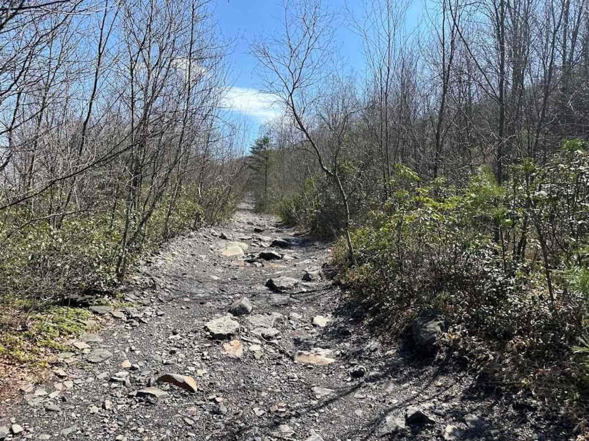 Ashland 121 trail photo