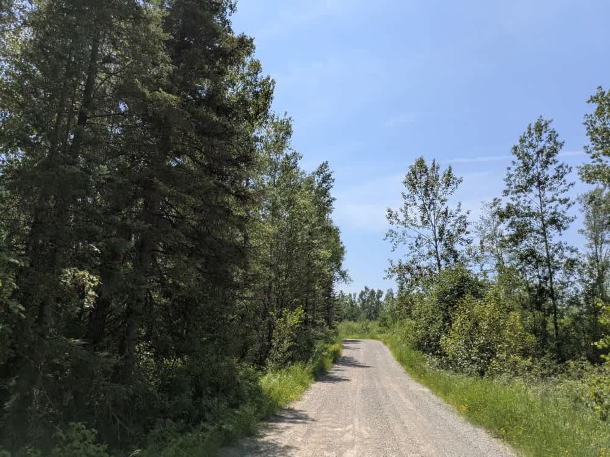 Markham Road photo 6