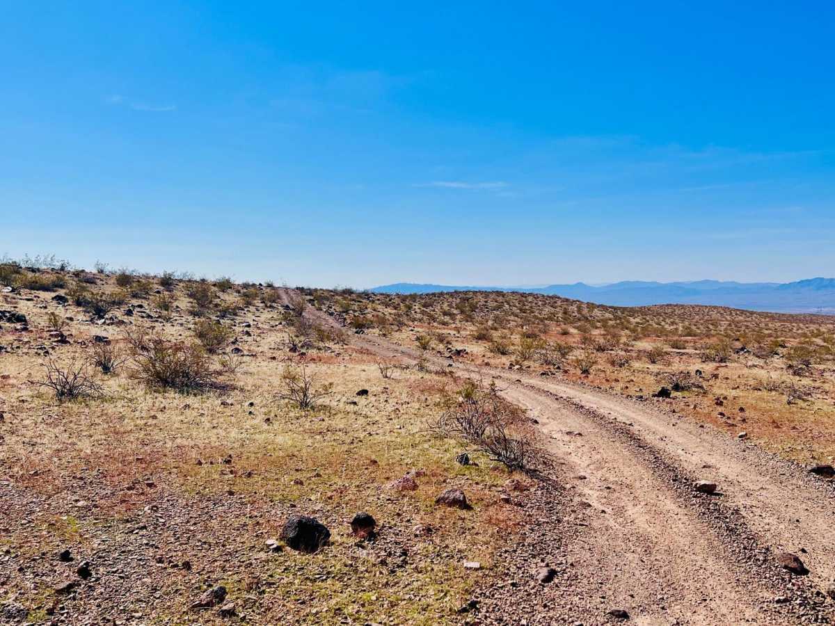 Wheeler Wagon Ridge Dispersed Camps photo 4