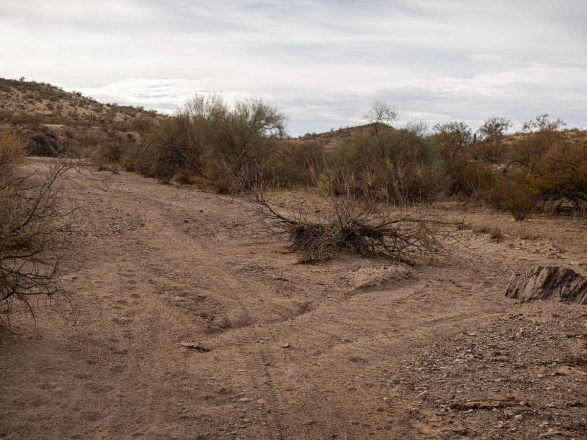 46066 Wash photo 2